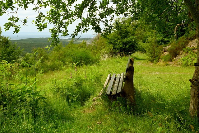 和体能管理 和体能管理