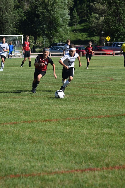 的特性吸引 的特性吸引