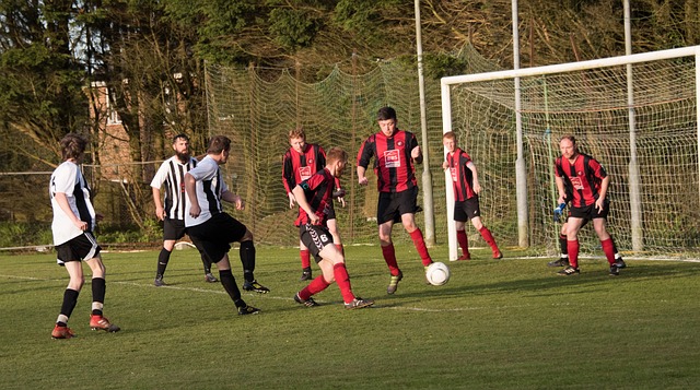 样一个快节 样一个快节